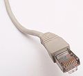 Cordon Ethernet : photo